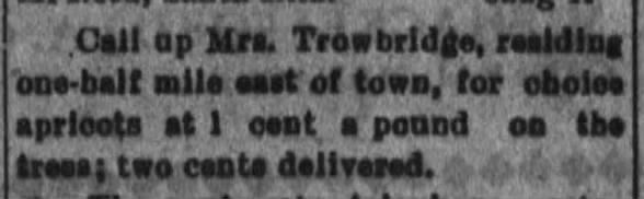 Choice Apricots, 6Aug1909